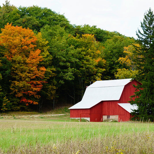 Fall Farmhouse
