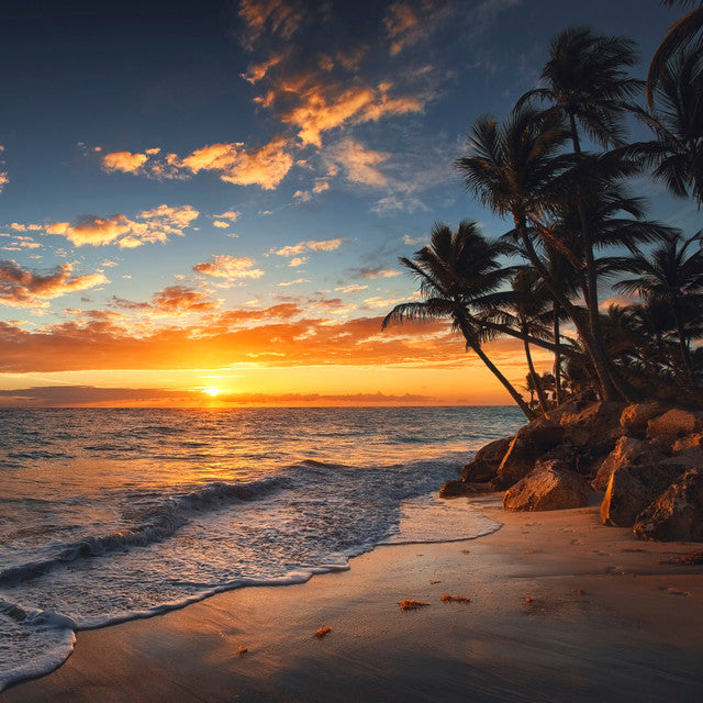 Seaside Serenity