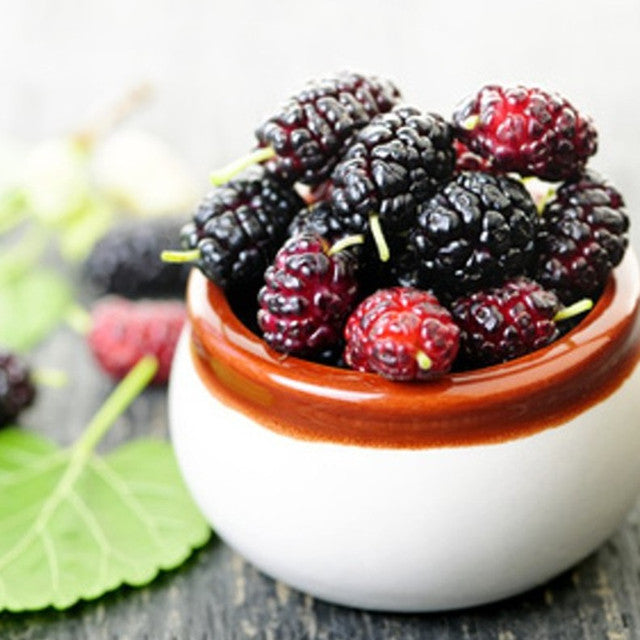 Mulberry