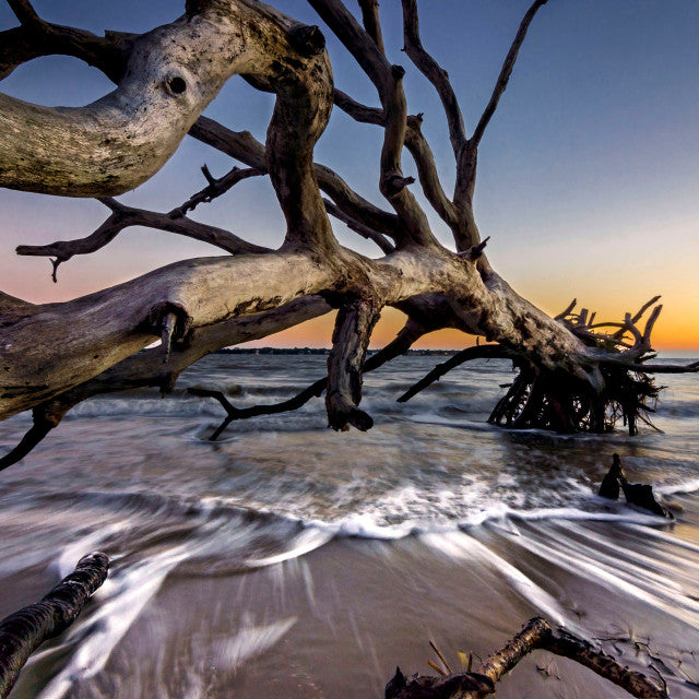 Salted Citrus & Driftwood